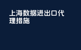 上海数据进出口代理措施