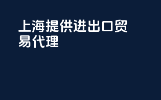 上海提供进出口贸易代理