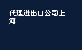 代理进出口公司上海
