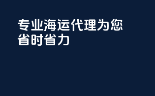 专业海运代理，为您省时省力！