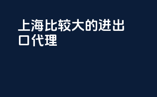 上海比较大的进出口代理