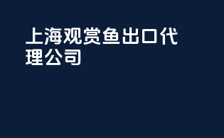 上海观赏鱼出口代理公司
