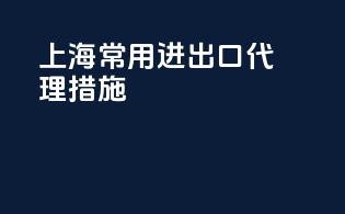 上海常用进出口代理措施