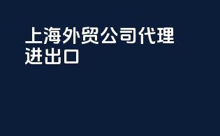上海外贸公司代理进出口