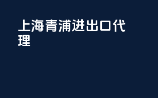 上海青浦进出口代理