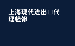 上海现代进出口代理检修