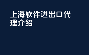 上海软件进出口代理介绍