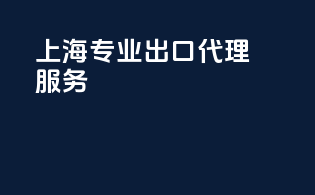 上海专业出口代理服务