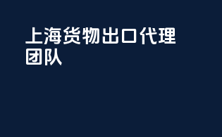 上海货物出口代理团队