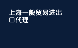 上海一般贸易进出口代理