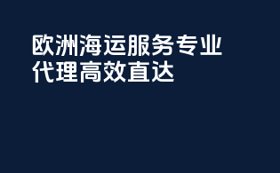 欧洲海运服务，专业代理，高效直达！