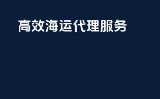 高效海运代理服务