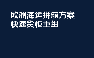欧洲海运拼箱方案，快速货柜重组