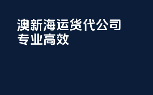 澳新海运货代公司专业高效