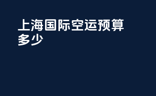 上海国际空运预算多少