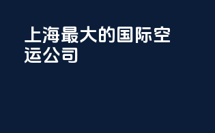 上海最大的国际空运公司