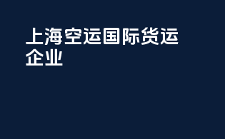 上海空运国际货运企业
