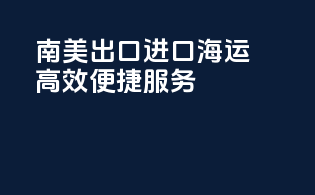 南美出口进口海运，高效便捷服务