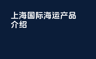 上海国际海运产品介绍