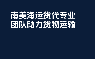 南美海运货代：专业团队助力货物运输