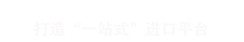 国际货运代理｜专业报关清关+海运空运门到门-亨笠供应链