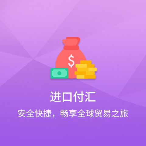 进口付汇