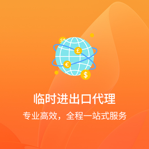 临时进出口代理