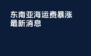 东南亚海运费暴涨最新消息