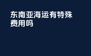 东南亚海运有特殊费用吗