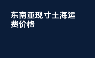 东南亚现寸土海运费价格