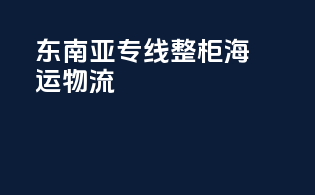 东南亚专线整柜海运物流