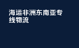 海运非洲东南亚专线物流