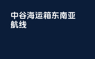 中谷海运1900箱东南亚航线