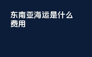 东南亚海运ddf是什么费用