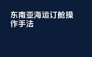 东南亚海运订舱操作手法