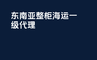 东南亚整柜海运一级代理