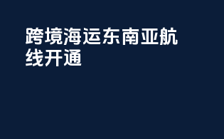 跨境海运东南亚航线开通