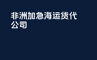 非洲加急海运货代公司