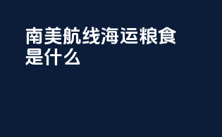 南美航线海运粮食是什么