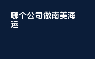 哪个公司做南美海运