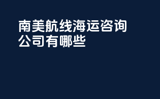 南美航线海运咨询公司有哪些