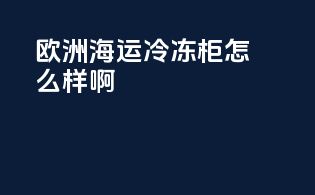 欧洲海运冷冻柜怎么样啊