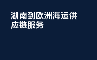 湖南到欧洲海运供应链服务