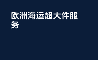 欧洲海运超大件服务