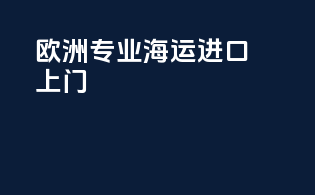 欧洲专业海运进口上门