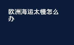 欧洲海运太慢怎么办