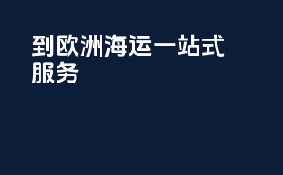 到欧洲海运一站式服务