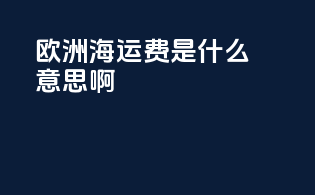 欧洲海运费是什么意思啊