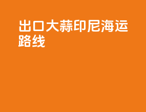 出口大蒜印尼海运路线