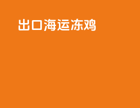 出口海运冻鸡